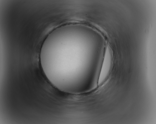 X0000092071355200710031111