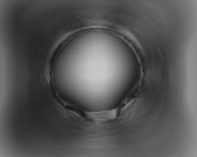 X0000092071360200710031111