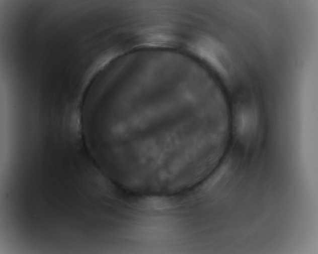X0000092071362200710031111