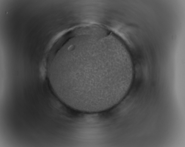 X0000092071363200710031111