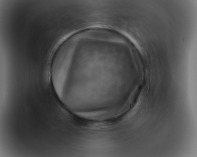 X0000092071367200710031111