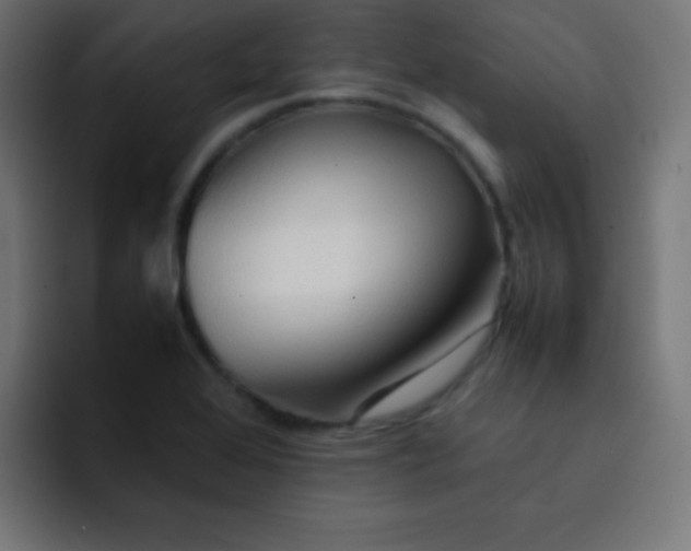 X0000092071368200710031111