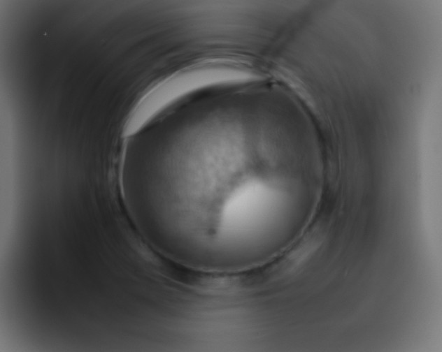 X0000092071369200710031111