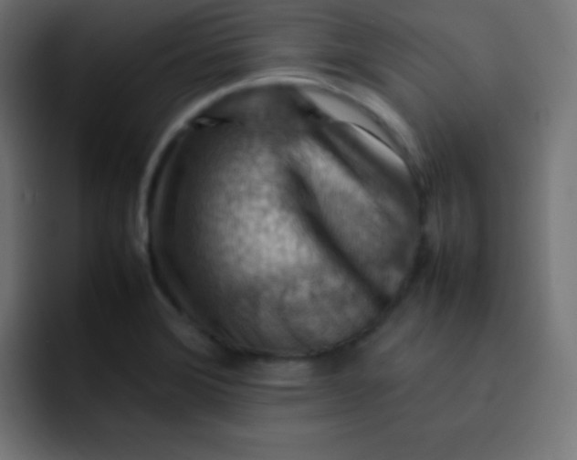 X0000092071372200710031111