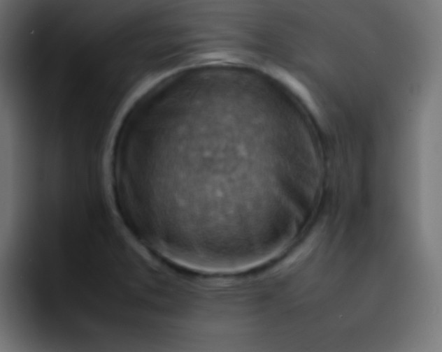 X0000092071373200710031111