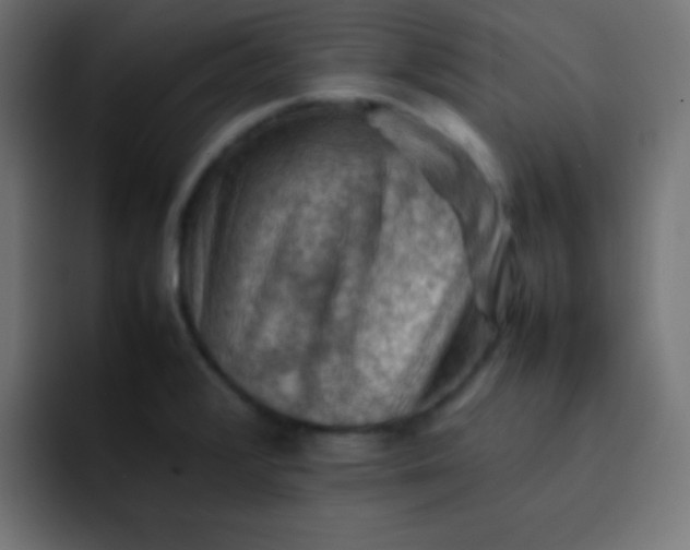 X0000092071376200710031111
