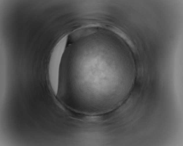 X0000092071377200710031111