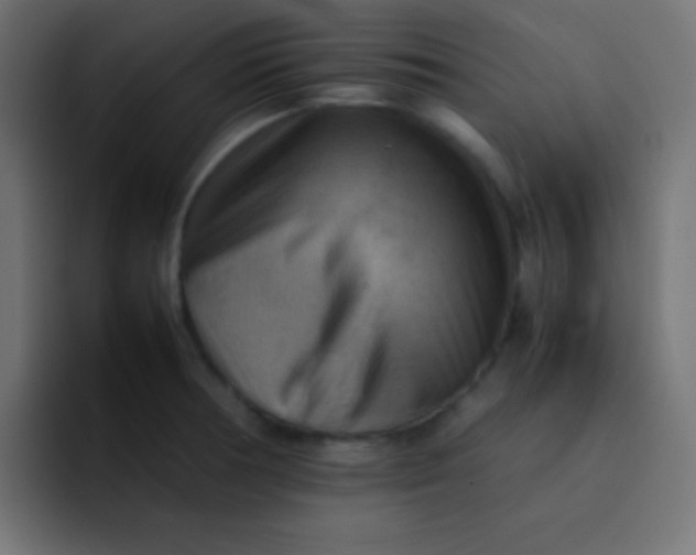 X0000092071378200710031111