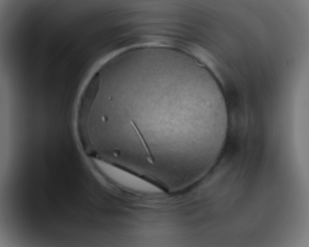 X0000092071379200710031111