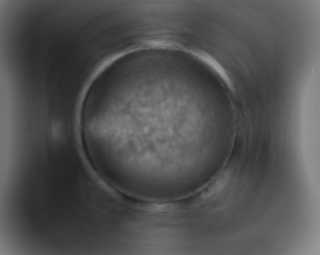 X0000092071381200710031111