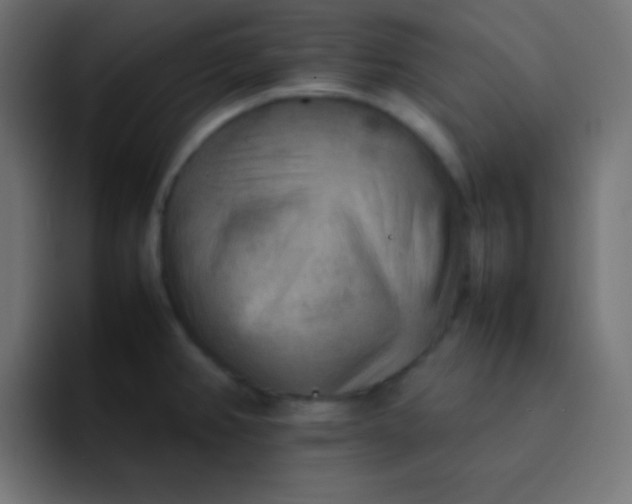 X0000092071382200710031111