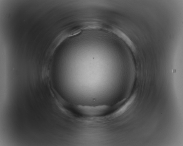 X0000092071385200710031111