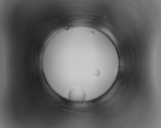 X0000092071386200710031111