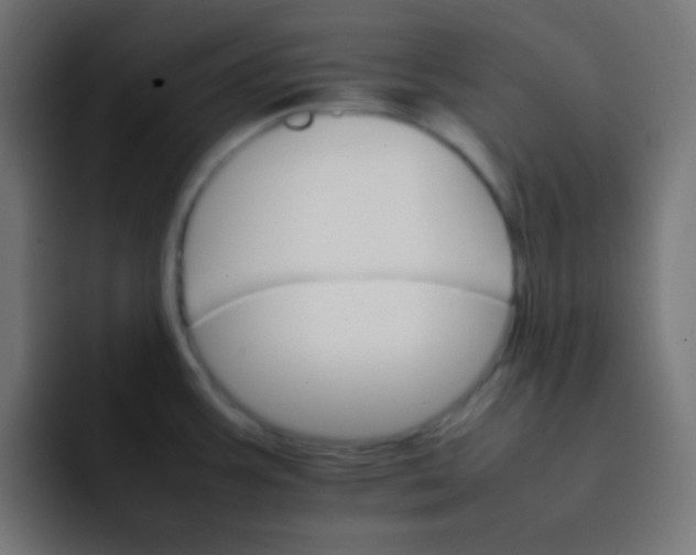 X0000092071387200710031111