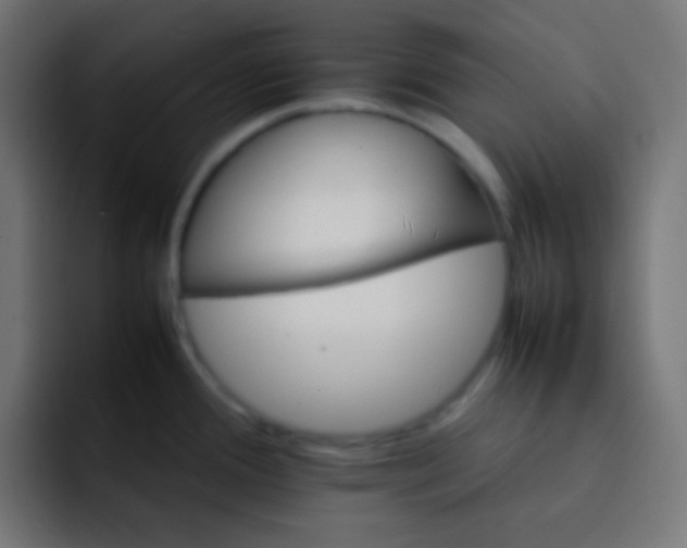 X0000092071388200710031110