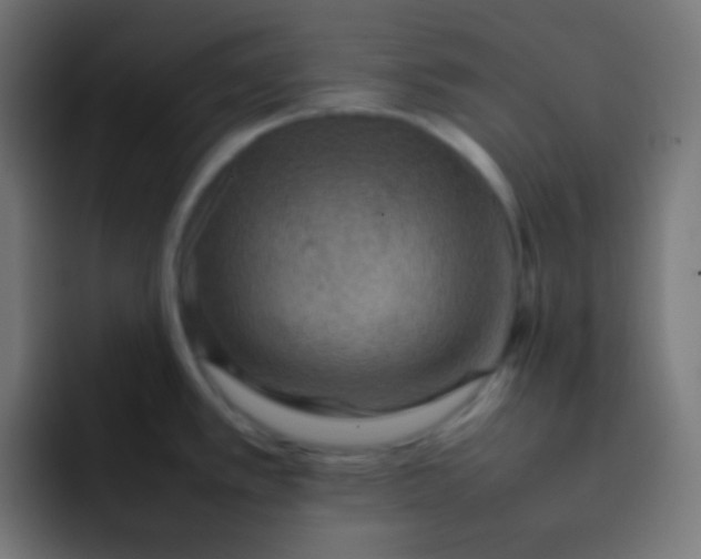 X0000092071389200710031110