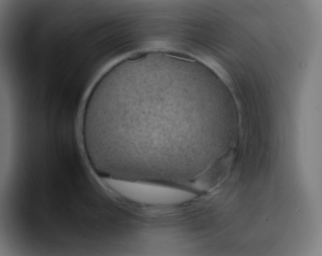 X0000092071392200710031110