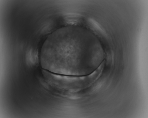 X0000092071394200710031110