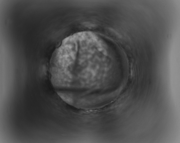 X0000092071397200710031110