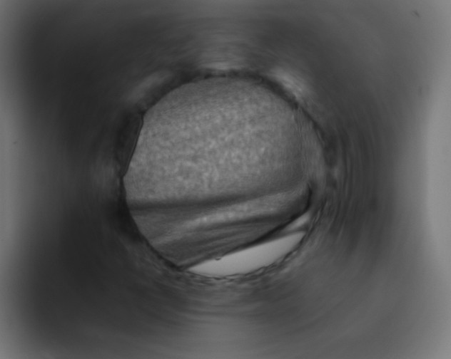 X0000092071398200710031110