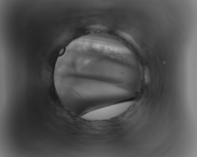 X0000092071399200710031110