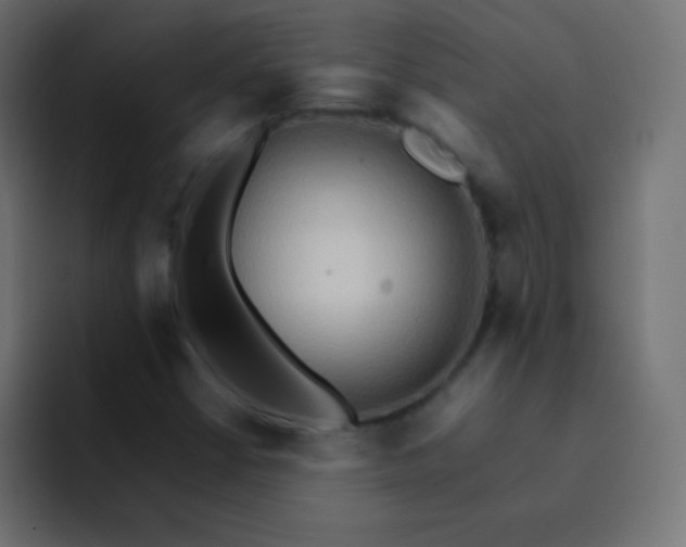 X0000092071402200710031110