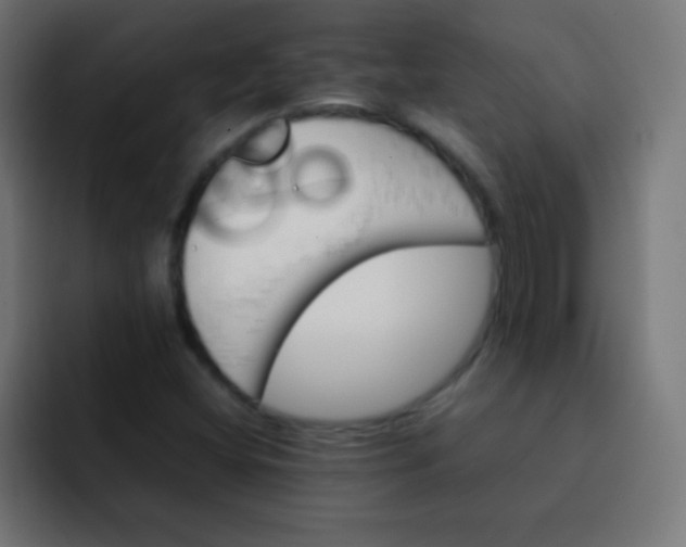 X0000092071404200710031110