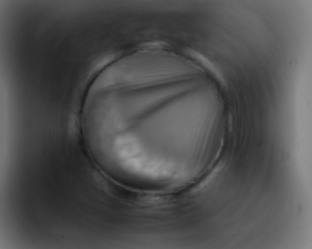 X0000092071405200710031110