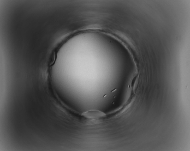 X0000092071406200710031110