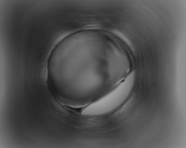 X0000092071413200710031110