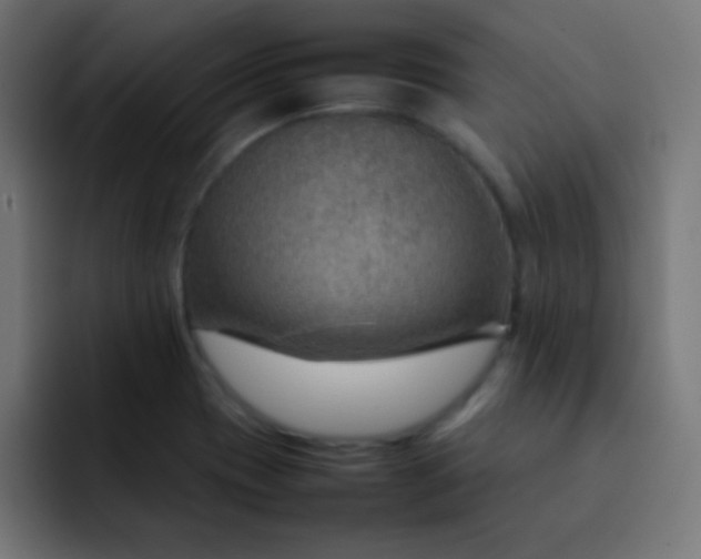 X0000092071417200710031110