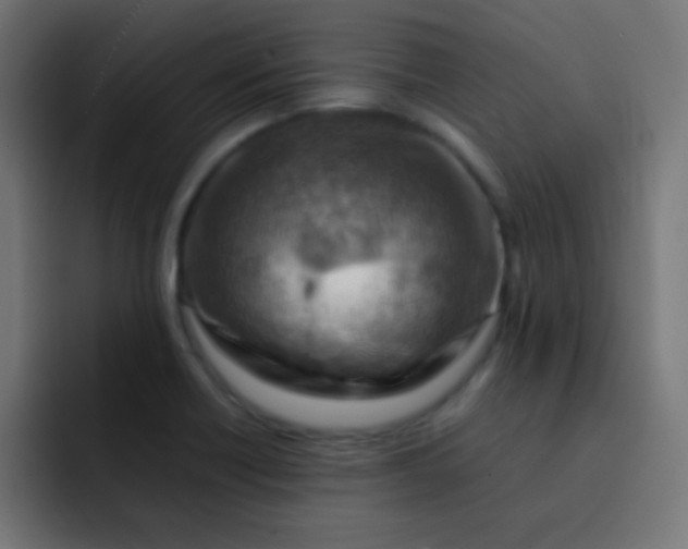 X0000092071418200710031110
