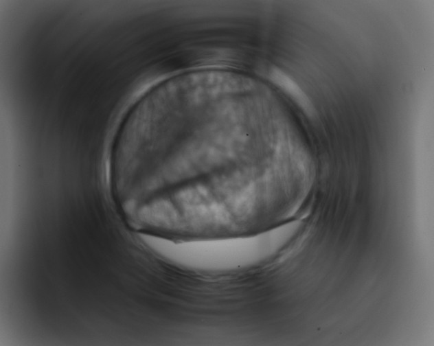 X0000092071419200710031110