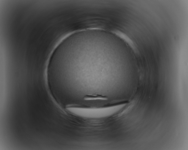 X0000092071423200710031110