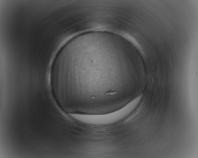 X0000092071424200710031110