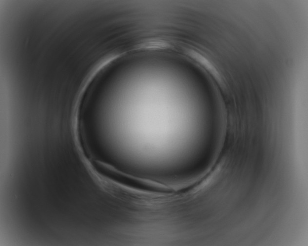 X0000092071426200710031110