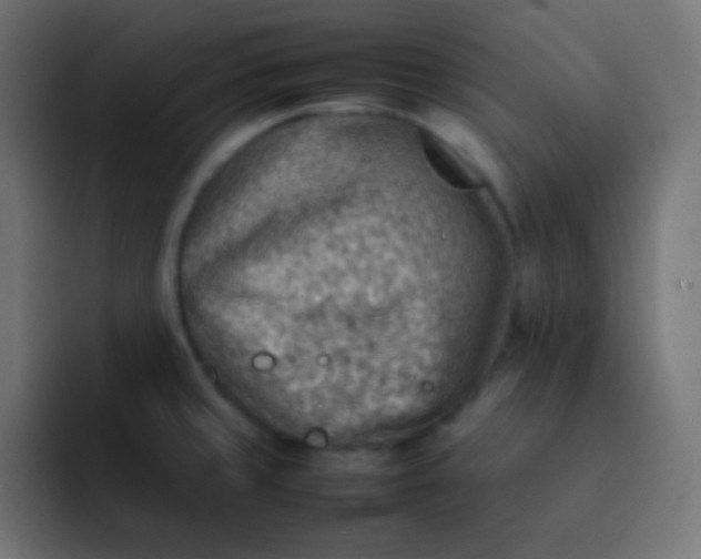 X0000092071429200710031110