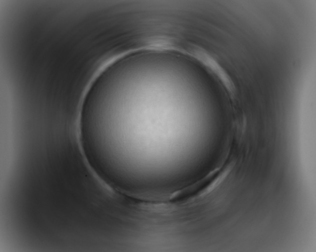 X0000092071432200710031110