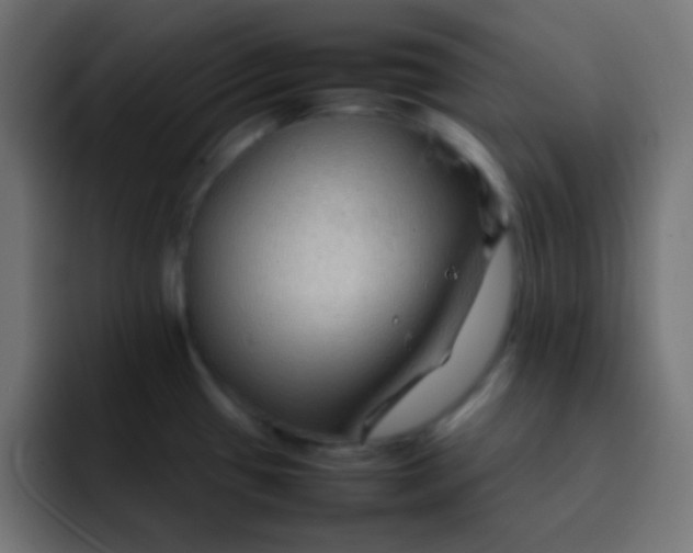 X0000092071433200710031110