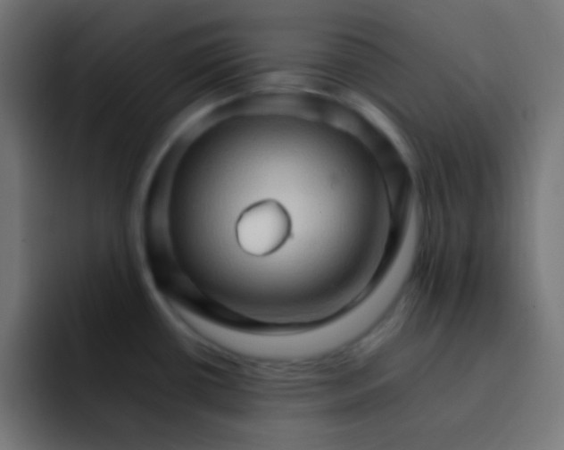 X0000092071434200710031110