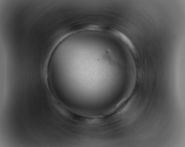 X0000092071435200710031110