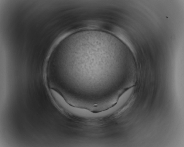 X0000092071437200710031110