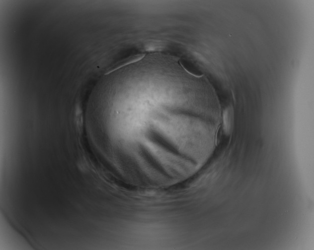 X0000092071443200710031110