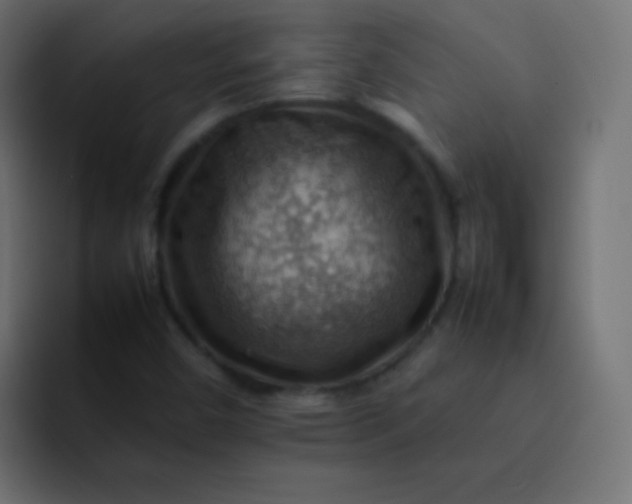 X0000092071450200710031110