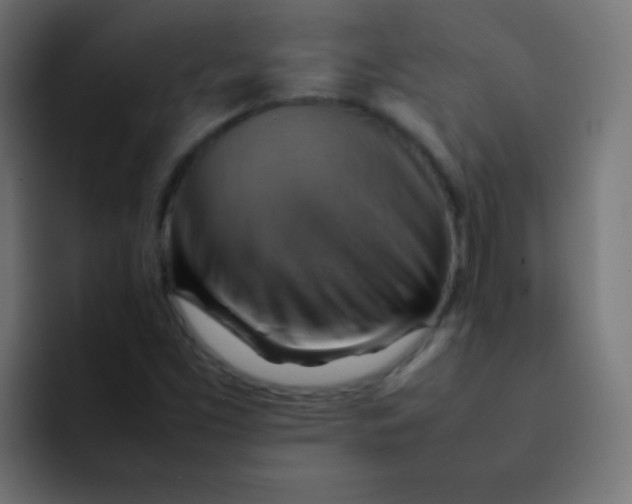 X0000092071453200710031110