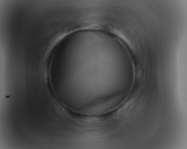 X0000092071455200710031110