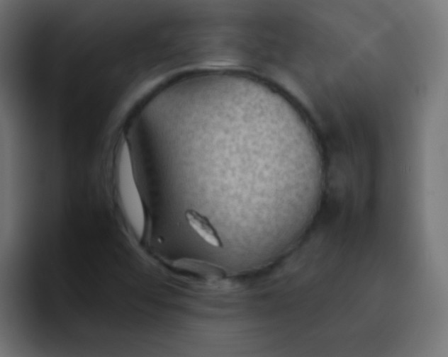 X0000092071456200710031110