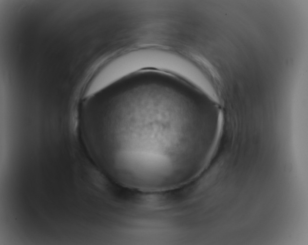 X0000092071461200710031110