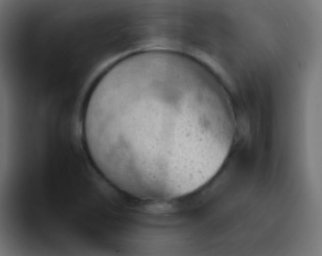 X0000092071462200710031110