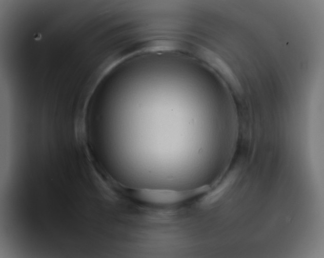 X0000092071473200710031110